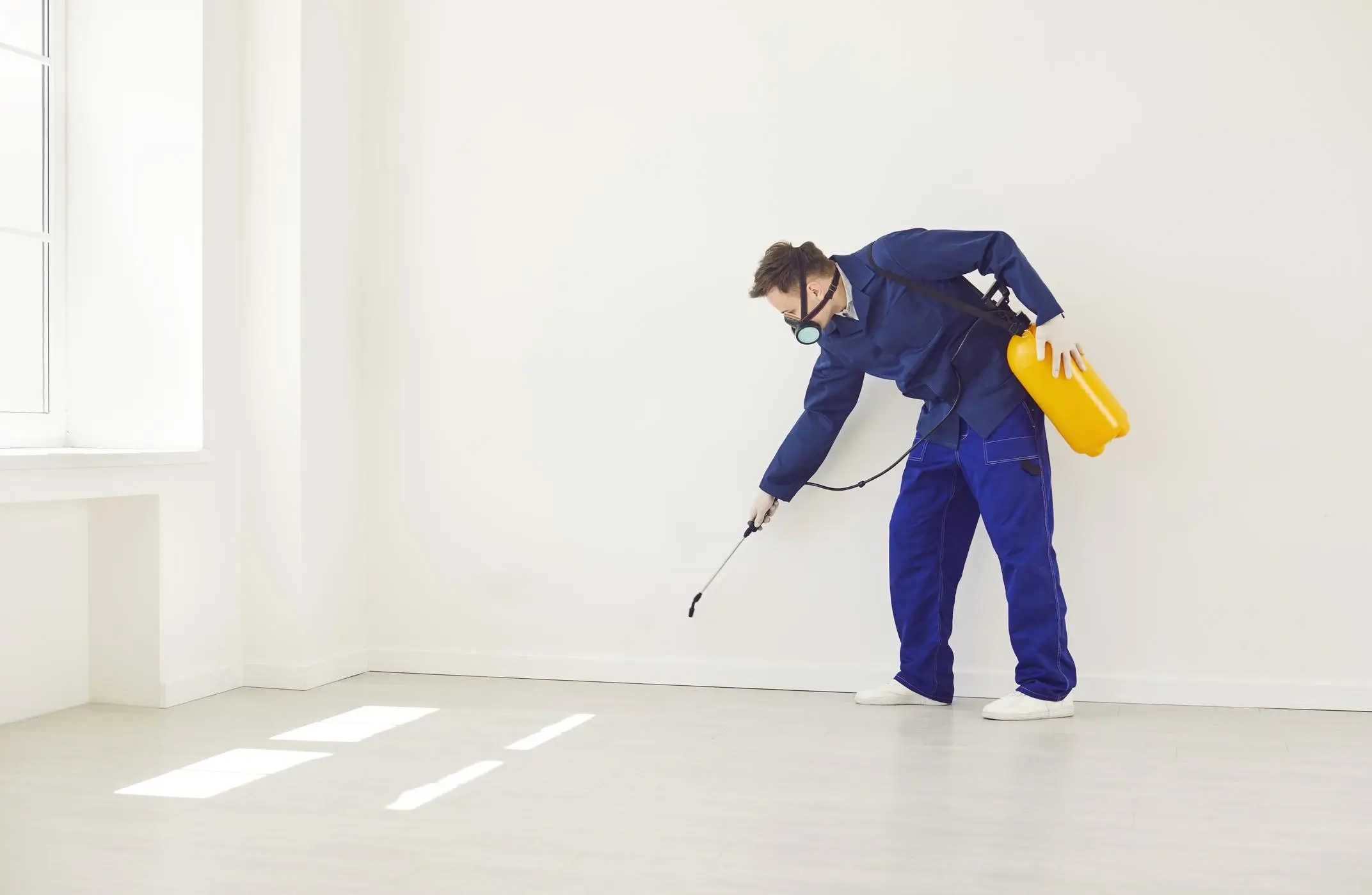 Residential Ant Control melbourne